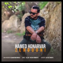 آهنگ جدید حامد هنرور به نام زندونی